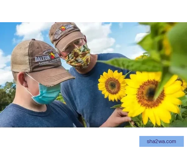 鲁索谈失望与灵活及维拉教训