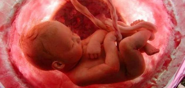 هل يتأثر شكل الجنين بما تراه الأم الحامل