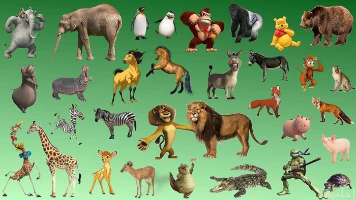 أنواع الحيوانات وأسمائها للأطفال