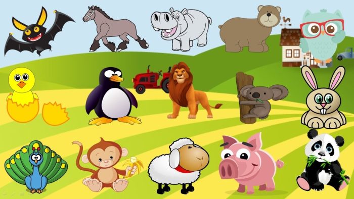 أنواع الحيوانات وأسمائها للأطفال