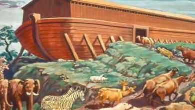 قصة النبي نوح للأطفال