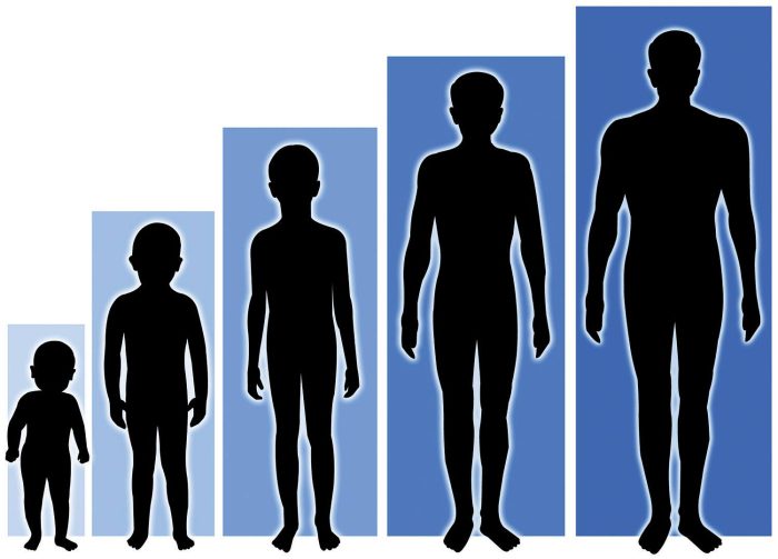 كيفية زيادة طول الطفل