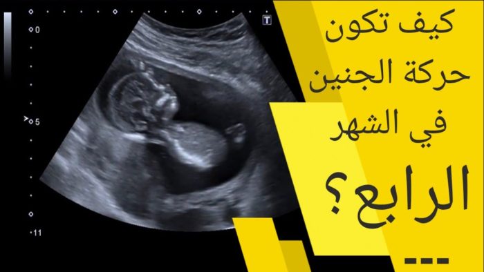 كيف تحس الحامل بحركة الجنين في الشهر الرابع