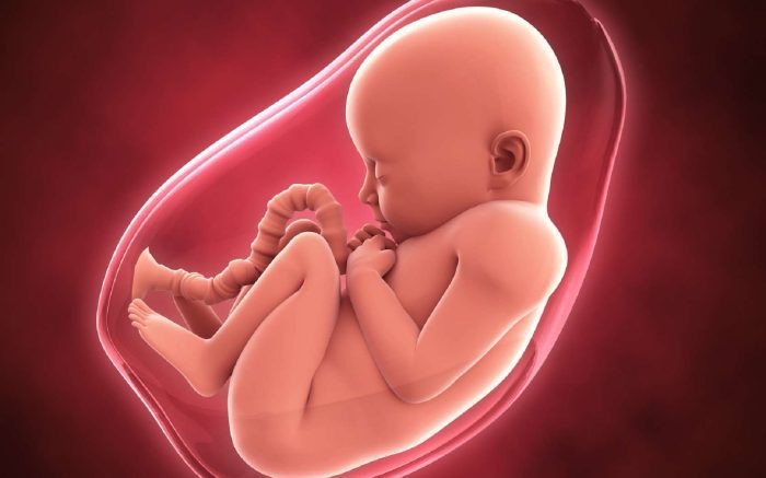 هل يخطئ السونار في تحديد نوع الجنين في الشهر الثامن؟