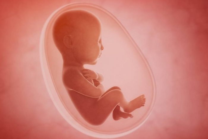 هل يمكن أن يتوقف نمو الجنين ثم يعود؟