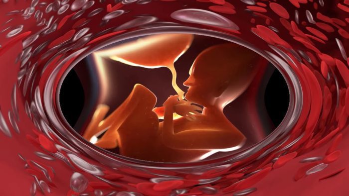 ما هي علامات موت الجنين في الرحم والإجهاض