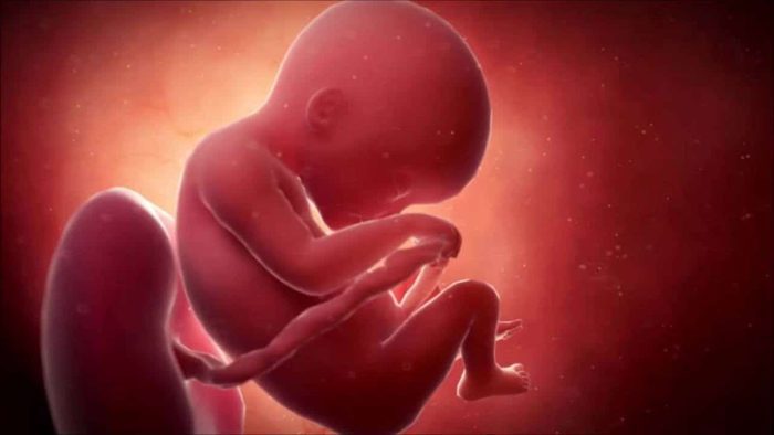 كيف تشعر الحامل بحركة الجنين 