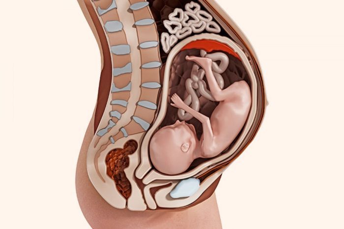 هل نزول الجنين في الحوض يسهل الولادة