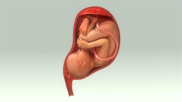 أسباب نزول الجنين أسفل البطن في الشهر الخامس