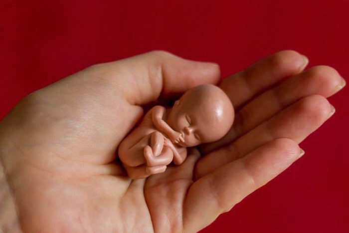 كيفية تجاوز مرحلة موت الجنين في بطن أمه