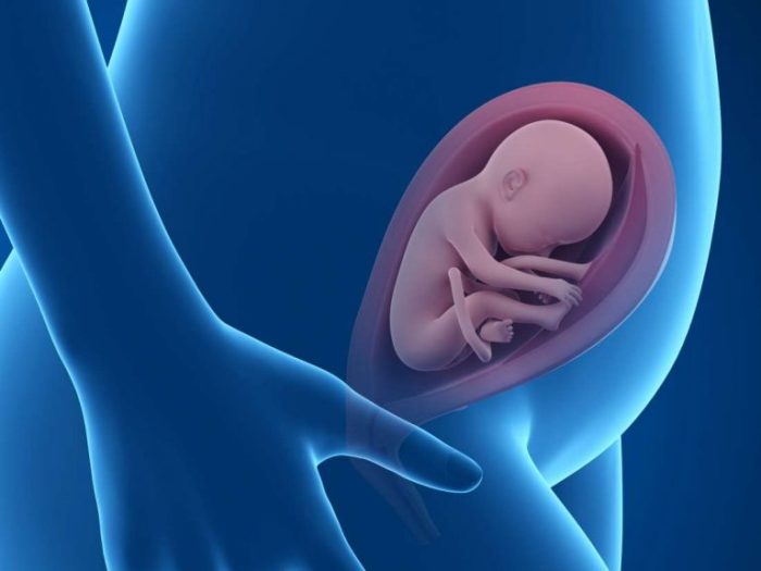 الحكة عند الحامل في الشهر الأول وجنس الجنين