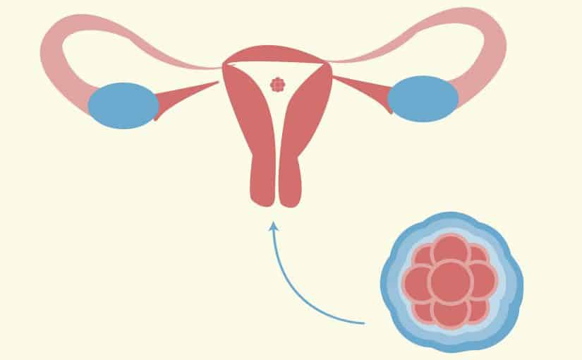أعراض حدوث حمل بعد الدورة الشهرية