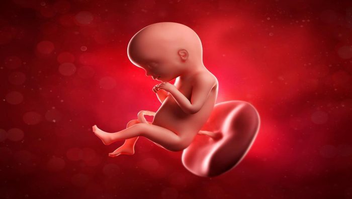 هل يؤثر نزيف المشيمة على الجنين؟