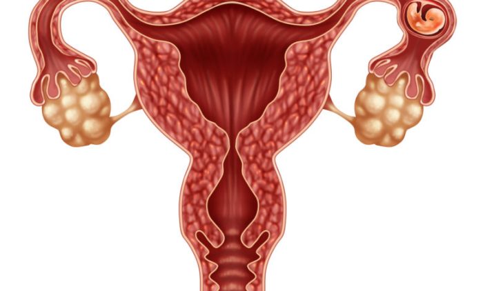أعراض الحمل خارج الرحم ومتى تظهر