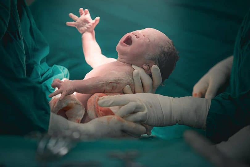 تفسير حلم ولادة ولد للحامل