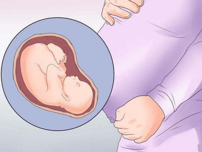 ألم المعدة عند الحامل في الشهر الخامس