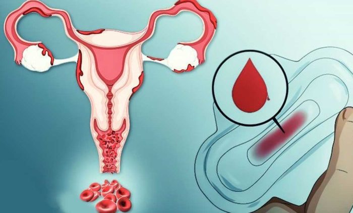 نسبة هرمون الحمل في الدم لغير الحامل