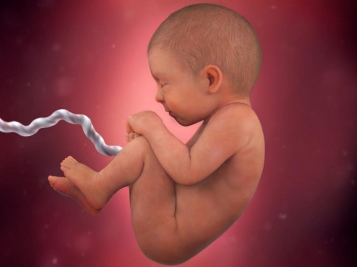 أسباب زيادة الماء حول الجنين