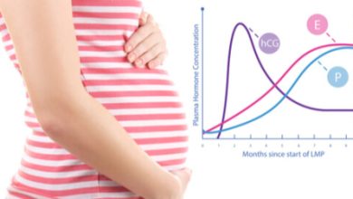 كم يرتفع هرمون الحمل يوميا